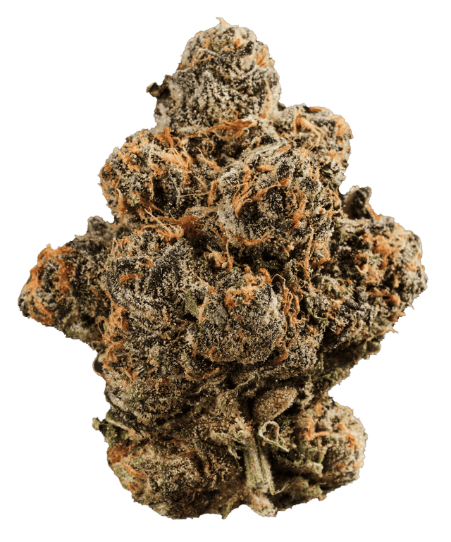 420 Compound 22/1 GAP Gastro Pop