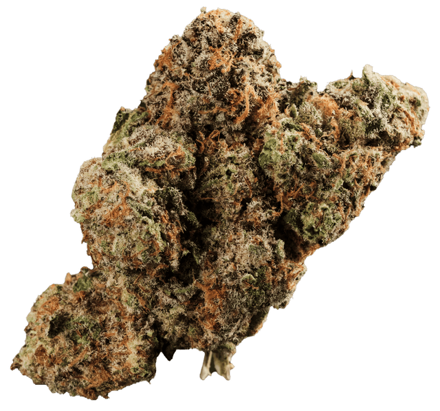 420 Evolution 25/1 CA MMI Miracle Mint