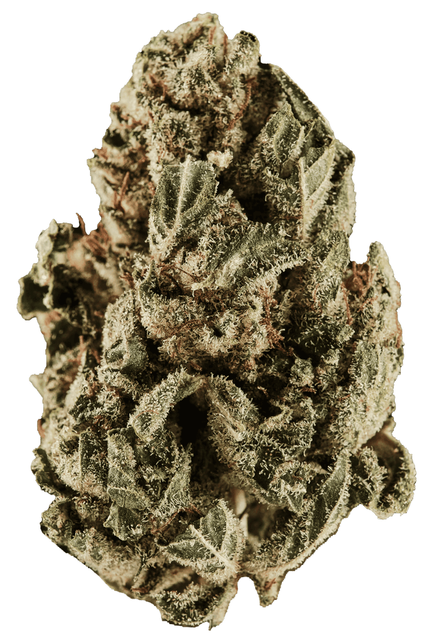 420 Sungrown 18/1 CA DOG Chemdog