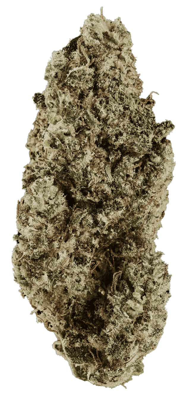 420 Compound 30/1 RPV Rose Gold Pave