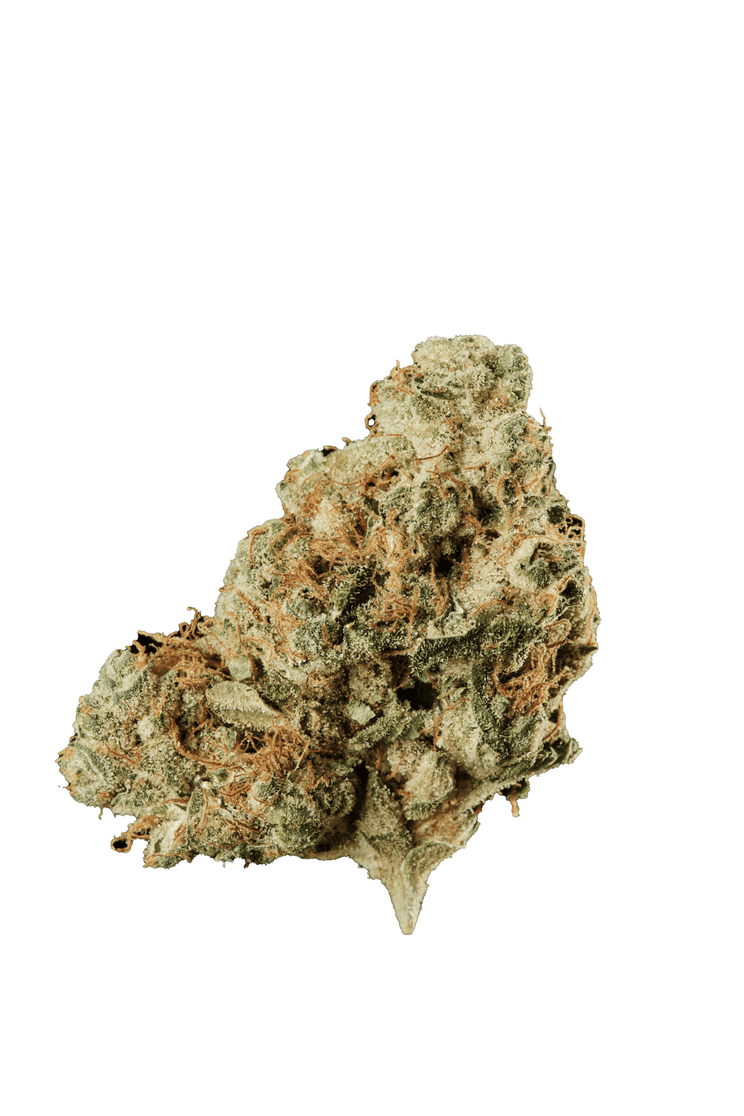 420 Evolution 27/1 CA FRG Frosted Gumbo