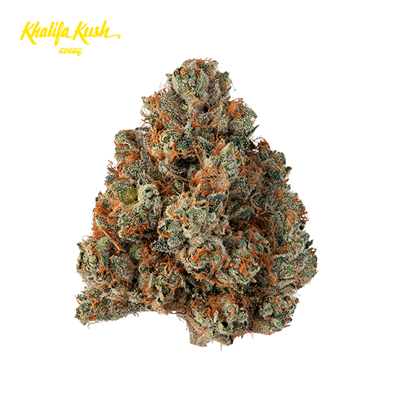 avaay Khalifa 28/1 KK Khalifa Kush