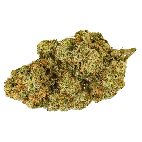 Pedanios 26/1 EHD-CA Electric Honeydew