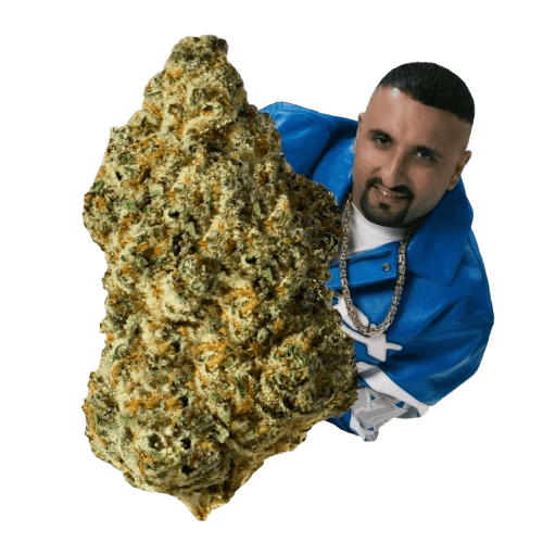 Tannenbusch 31/1 TF Tubitti Frubitti