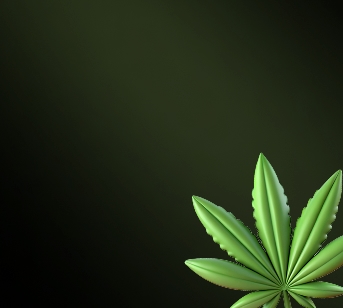 Cannabisblatt in der Ecke