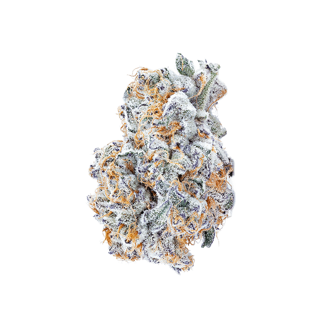 avaay Signature 23/1 BYY Blueberry Yum Yum